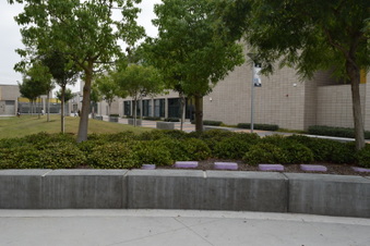 Enlarge photo 27