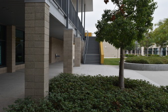 Enlarge photo 37