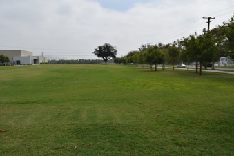 Enlarge photo 66