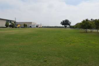 Enlarge photo 68
