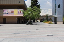 Enlarge photo 57
