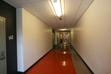 Enlarge photo 115