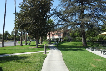Enlarge photo 25