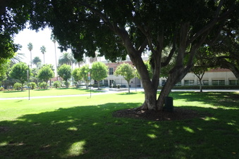 Enlarge photo 32