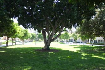 Enlarge photo 33