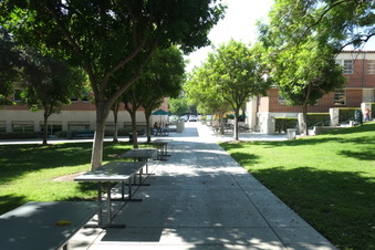 Enlarge photo 34