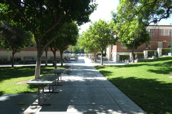 Enlarge photo 35