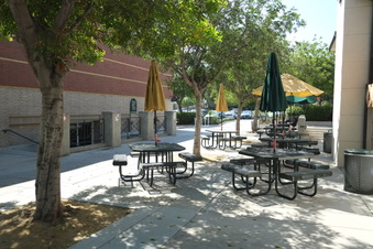 Enlarge photo 37