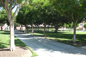 Enlarge photo 39