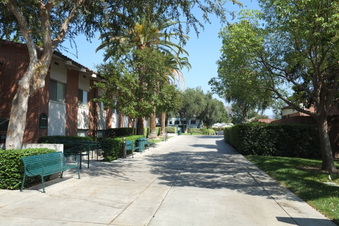 Enlarge photo 45