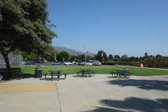 Enlarge photo 49
