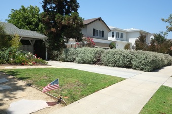 Enlarge photo 12