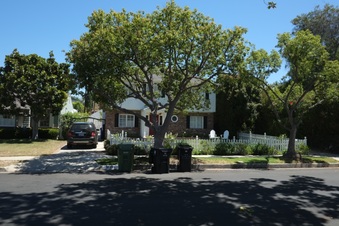 Enlarge photo 38