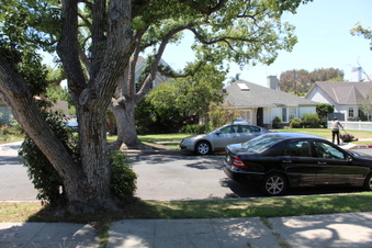 Enlarge photo 13
