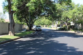 Enlarge photo 51
