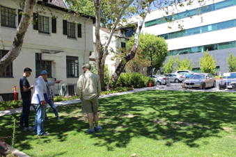 Enlarge photo 15