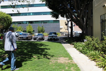 Enlarge photo 14