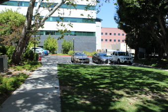 Enlarge photo 10