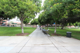 Enlarge photo 37