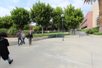 Enlarge photo 15