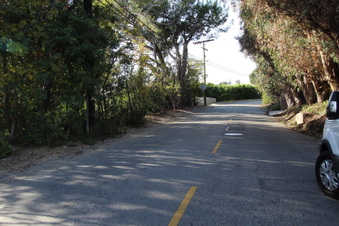 Enlarge photo 92