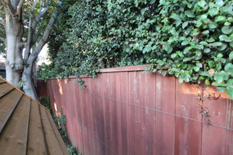 Enlarge photo 30