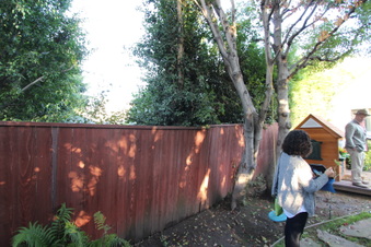 Enlarge photo 19