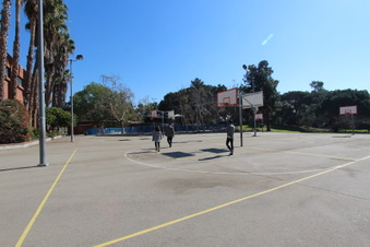 Enlarge photo 10