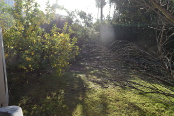 Enlarge photo 20