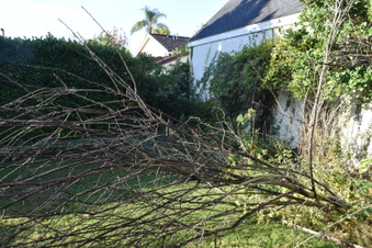 Enlarge photo 21