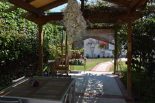 Enlarge photo 46