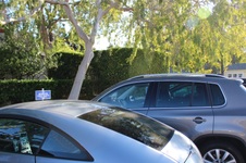 Enlarge photo 62