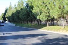Enlarge photo 32