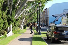 Enlarge photo 22