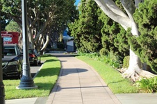Enlarge photo 26