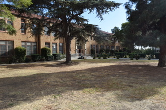 Enlarge photo 17