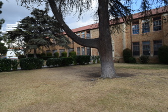 Enlarge photo 6