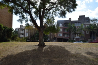 Enlarge photo 9