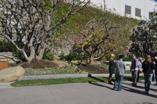 Avenue D