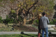 Enlarge photo 2