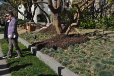 Enlarge photo 5