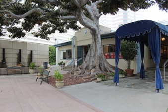 Enlarge photo 14