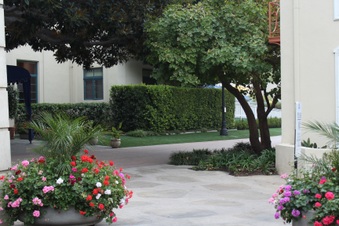 Enlarge photo 5