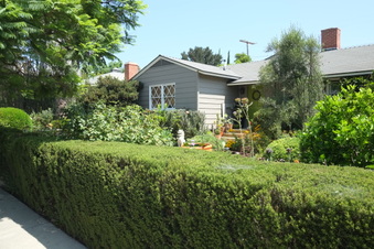 Enlarge photo 17