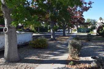 Enlarge photo 13