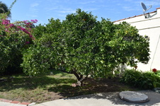 Enlarge photo 52