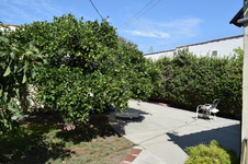 Enlarge photo 55