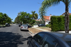Enlarge photo 45
