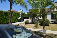 Enlarge photo 46