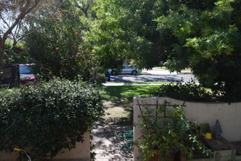 Enlarge photo 6